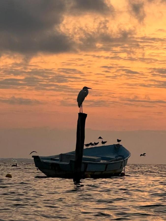 Апартаменты Tu Casa En El Caribe Канкун Экстерьер фото